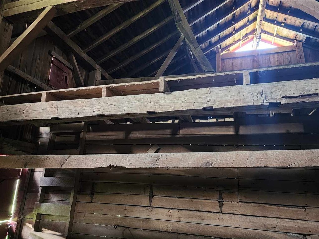 Picture 25