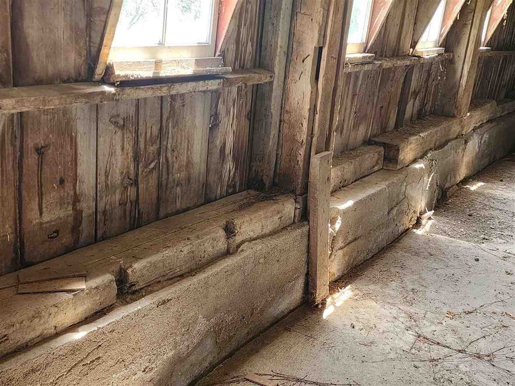 Picture 21