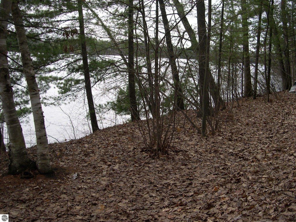 Picture 4