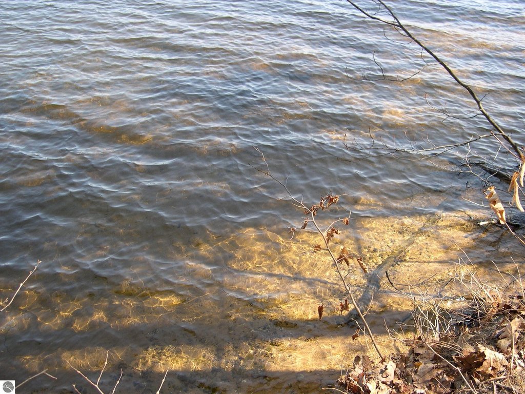 Picture 7