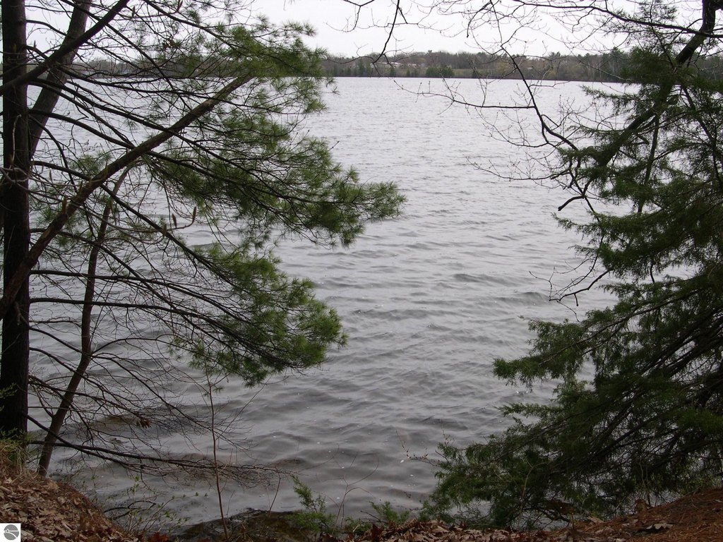 Picture 8