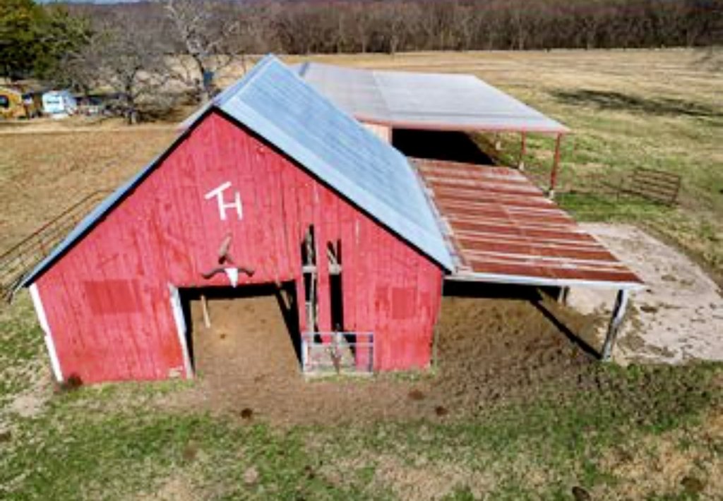 Picture 16
