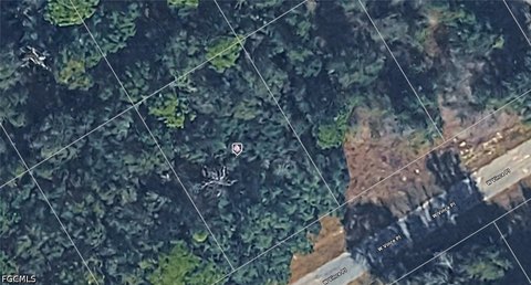 Land, Citrus Springs, FL