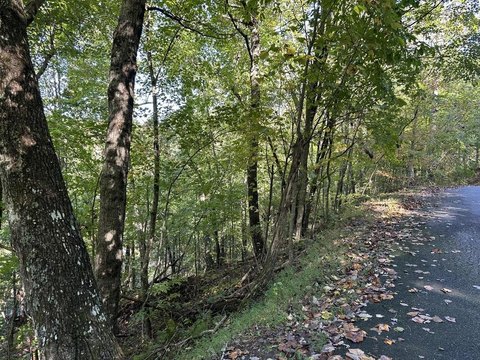 Vacant Lot, Fannin, GA