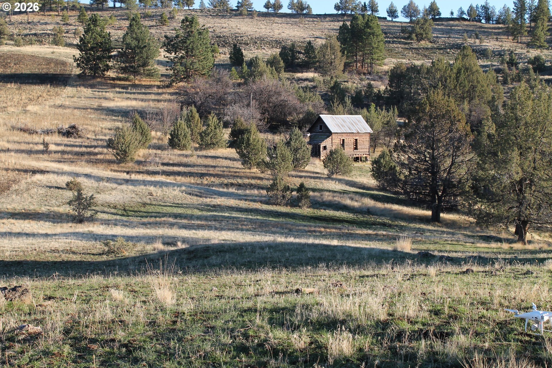 Ritter, Oregon Land Parcel