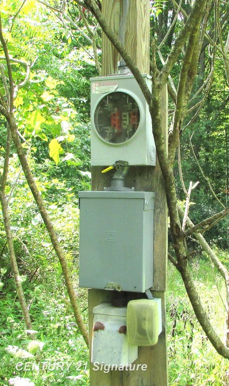 Picture 8