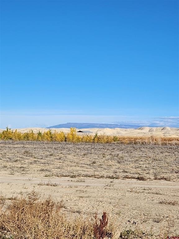 Montrose, CO Land For Sale