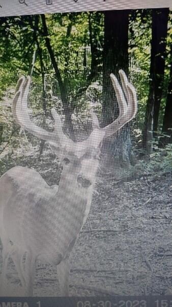 Picture 9