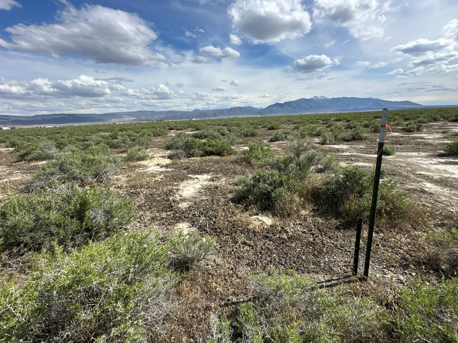Nevada Land For Sale