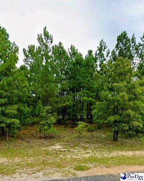 LAND - Hartsville, SC