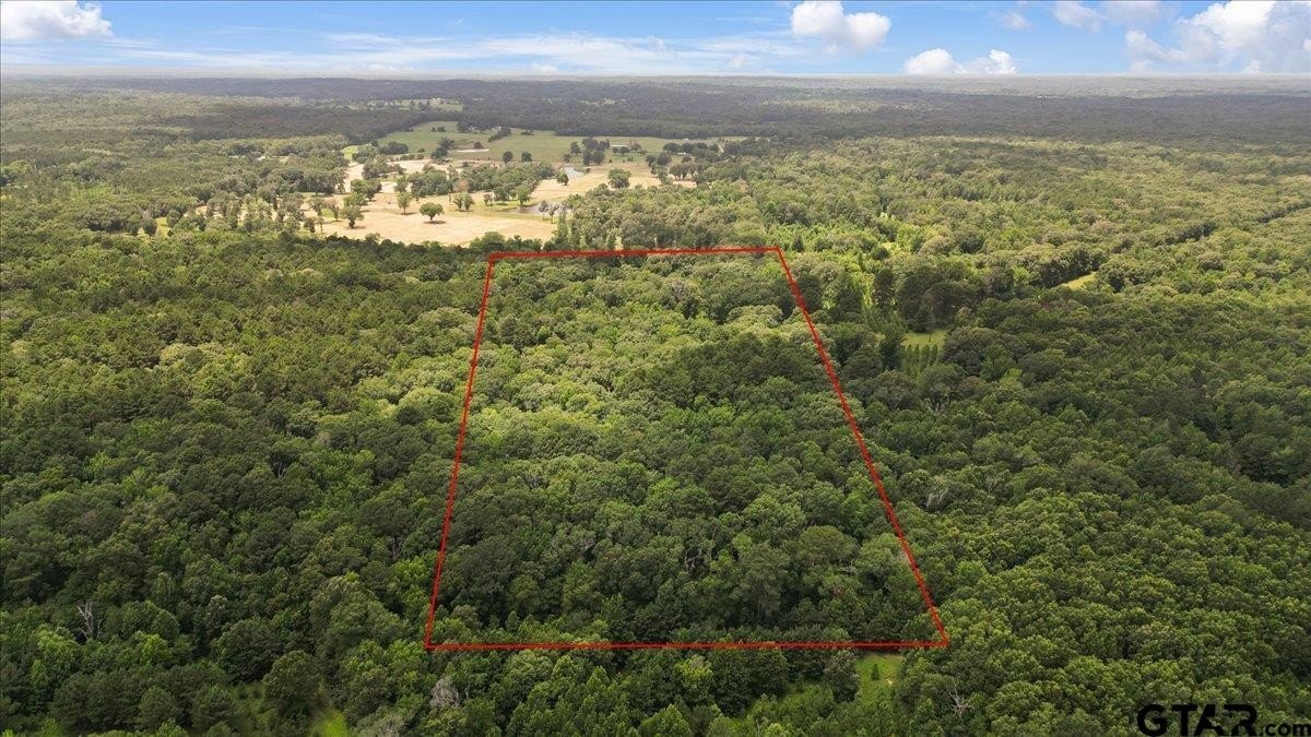 East Texas Rural Acreage