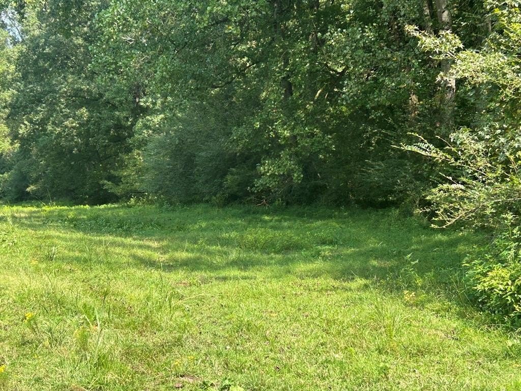 Bowdon Land with Flowing Stream