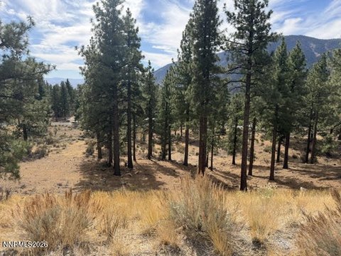 Land, Carson City, NV