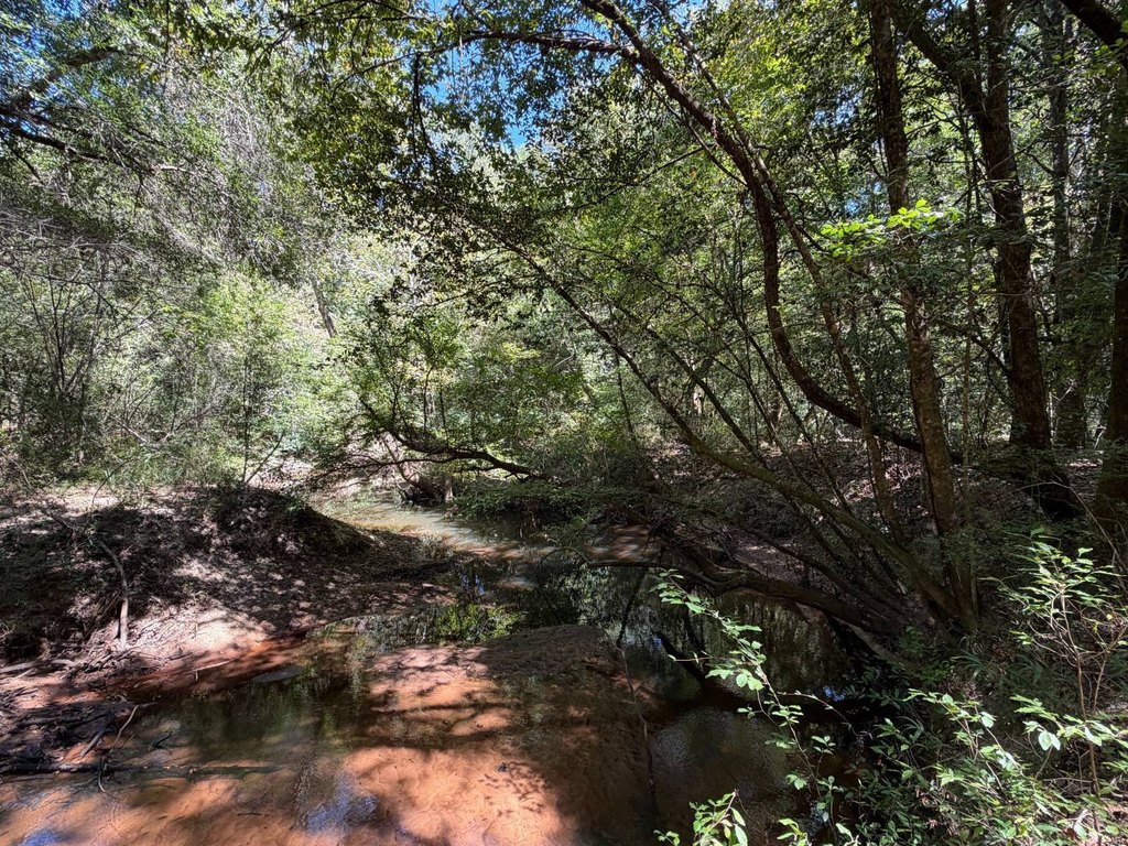 Picture 24