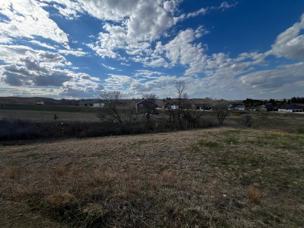 Picture 14