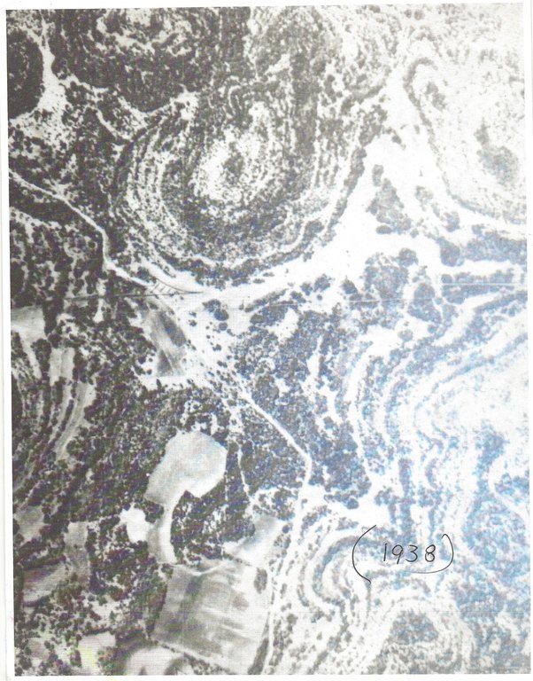 Picture 27