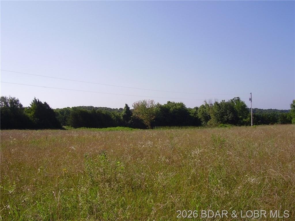 40 Acres of Farmland