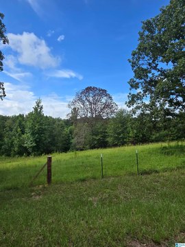 LAND/LOTS, MONTEVALLO, AL