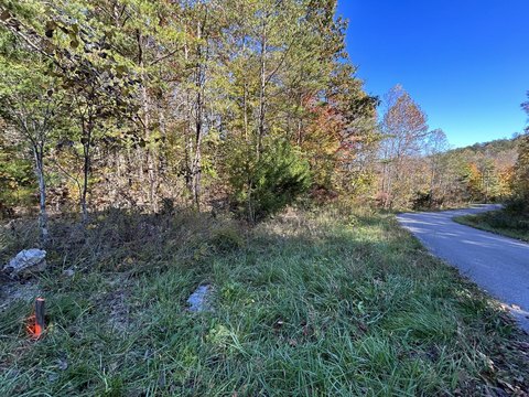 Wooded Lot Near Buck Creek