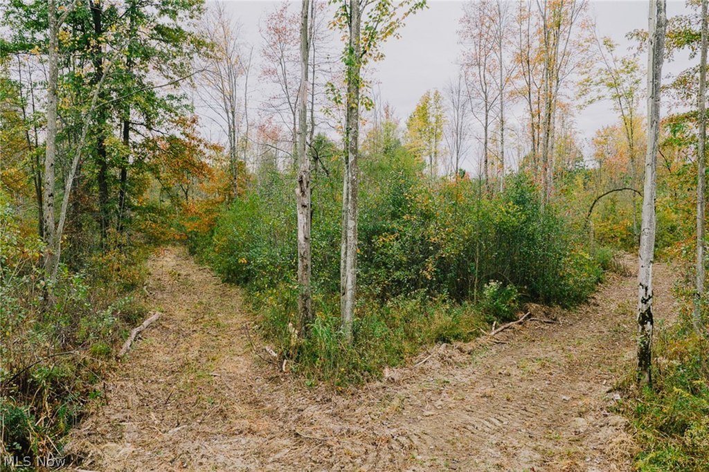 Picture 10