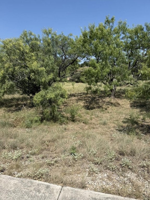 Picture 4
