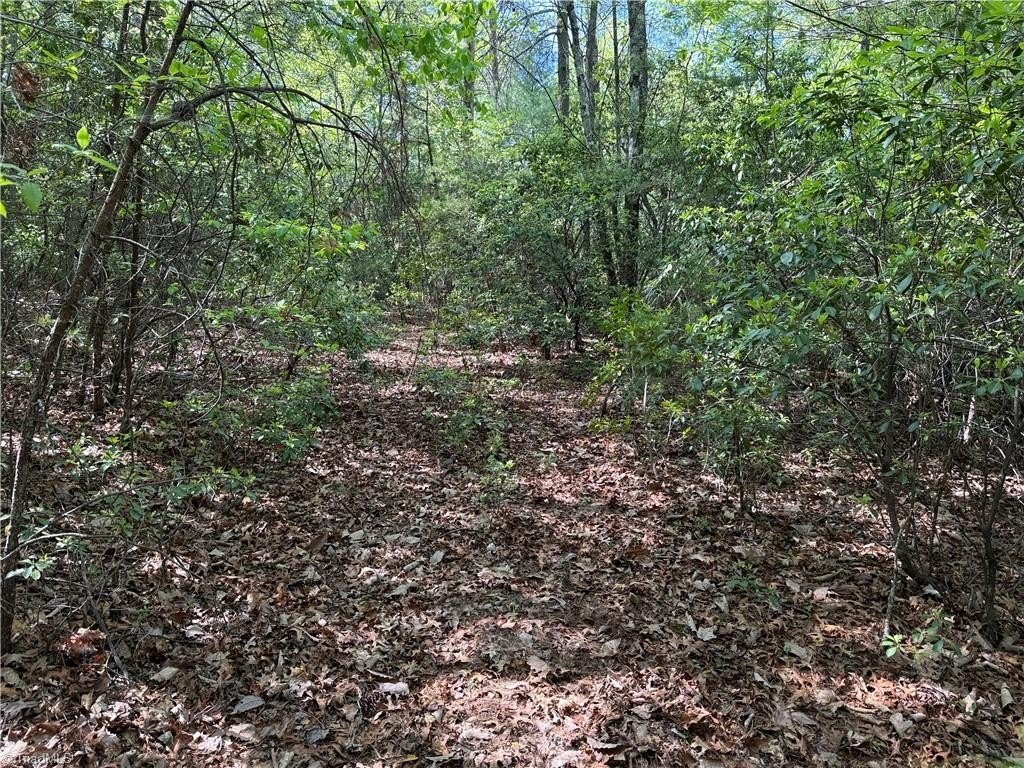 Picture 14