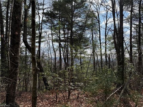 LAND - Purlear, NC