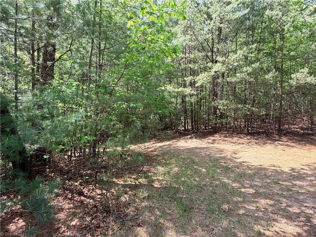 Picture 21