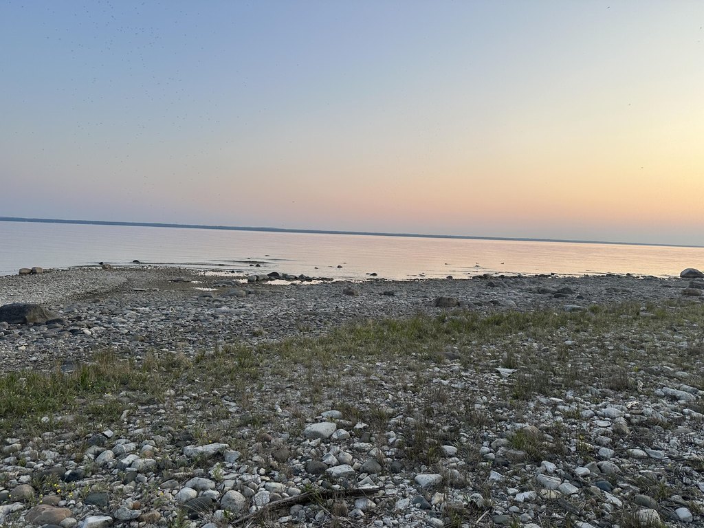 Picture 16