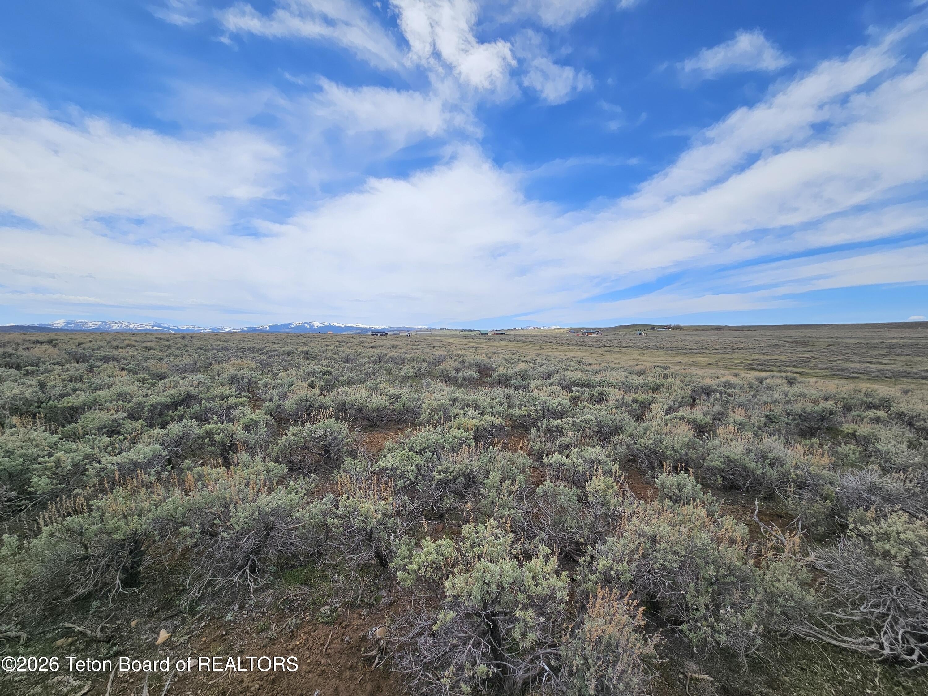 40 Acres Near National Forest
