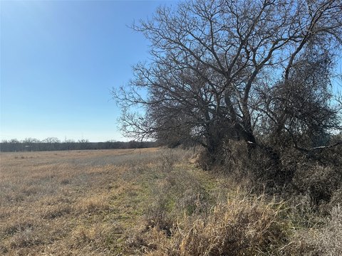 Fenced Coastal Hay Farmland Tract