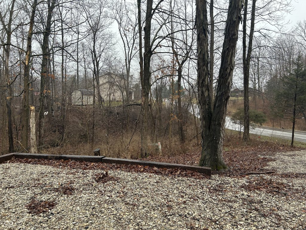 Picture 3