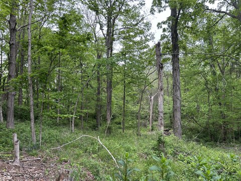 Residential Lots - Nineveh, IN