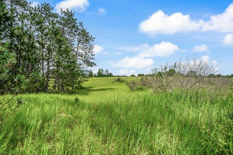 LAND - Leroy, MI