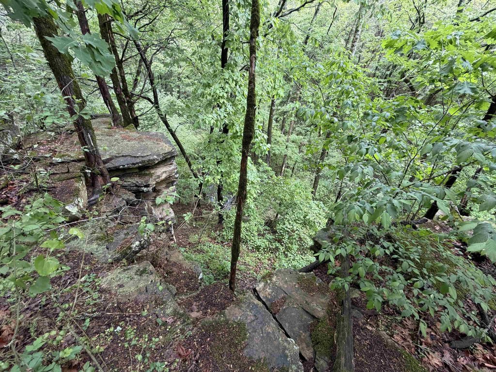 Picture 20