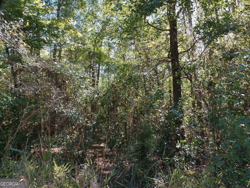 Picture 6