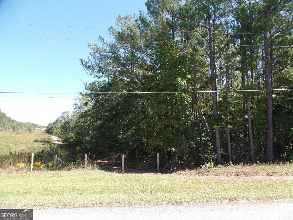 Picture 15