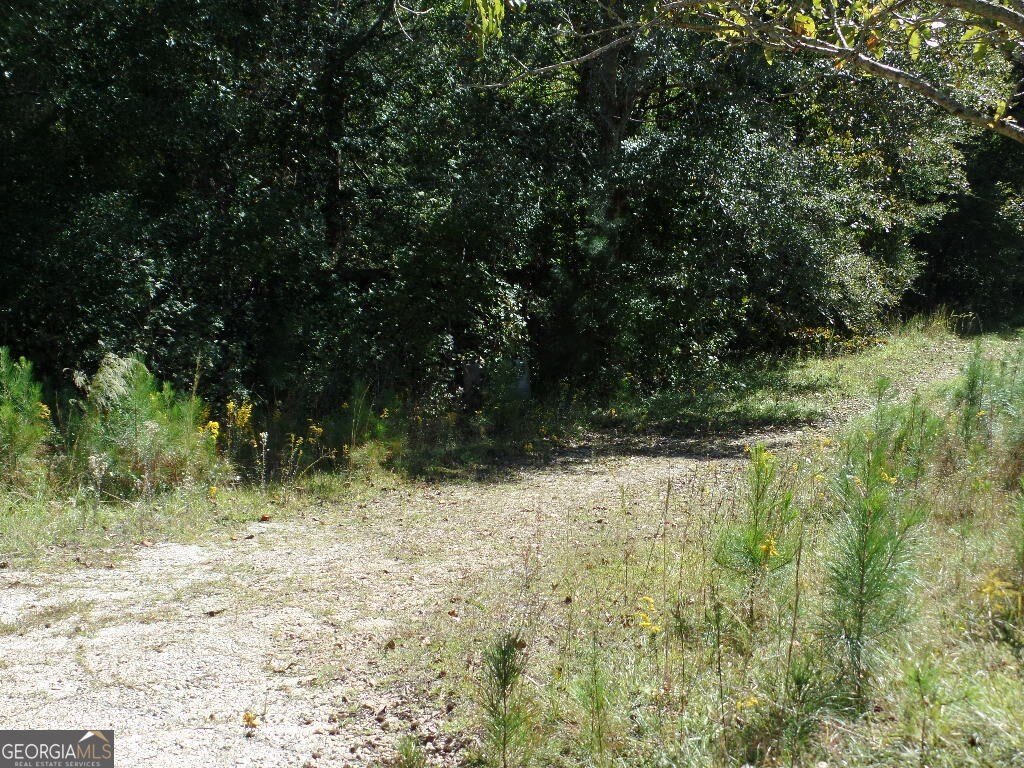 Picture 3