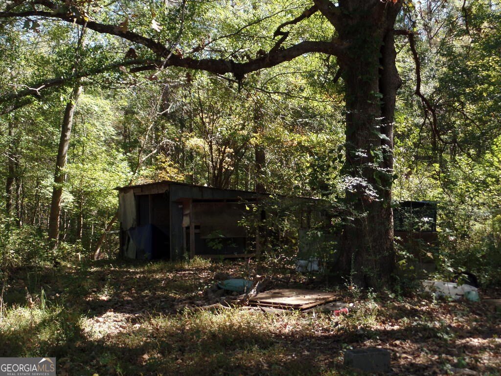 Picture 23