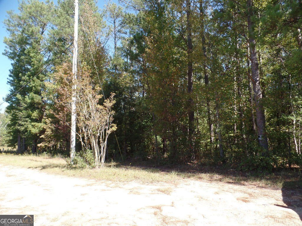 Picture 13