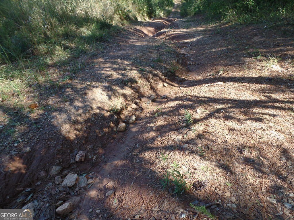 Picture 11