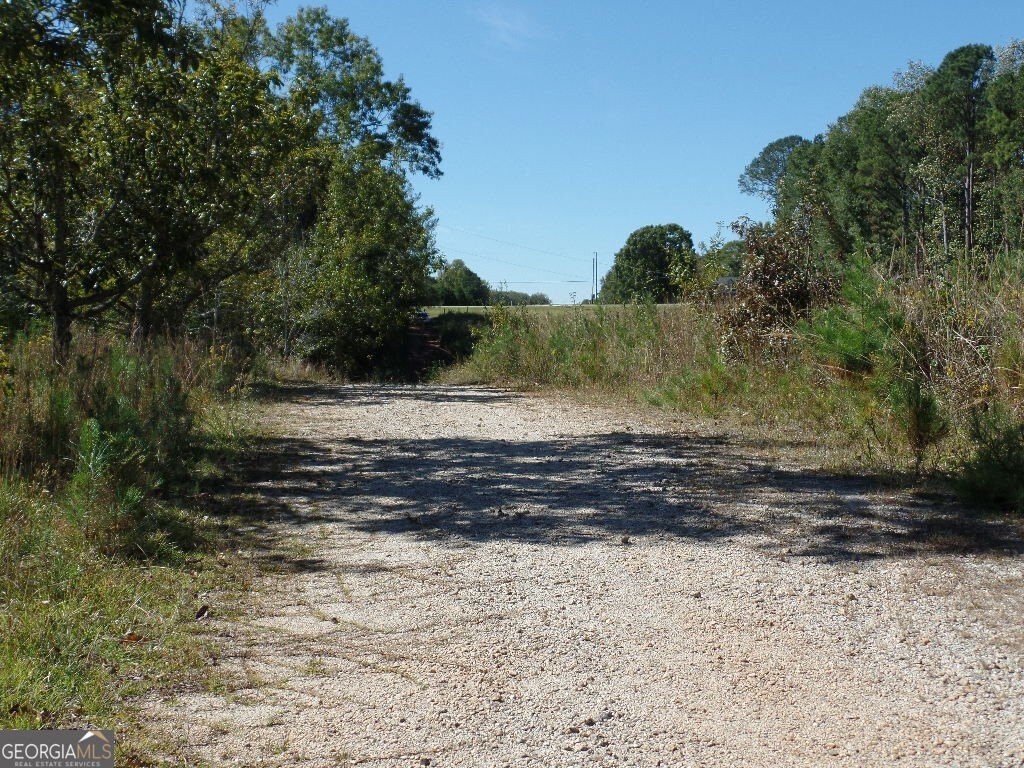 Picture 4