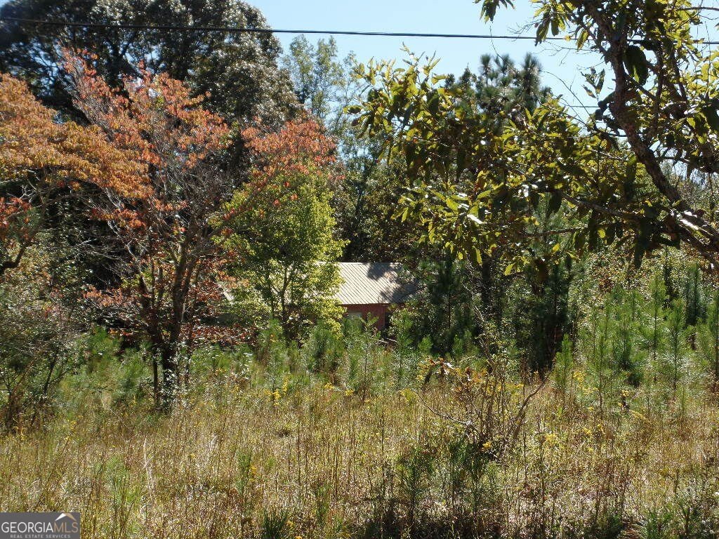 Picture 17