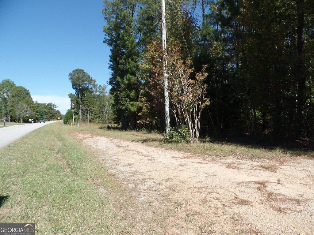 Picture 12