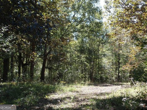 Land, Newnan, GA