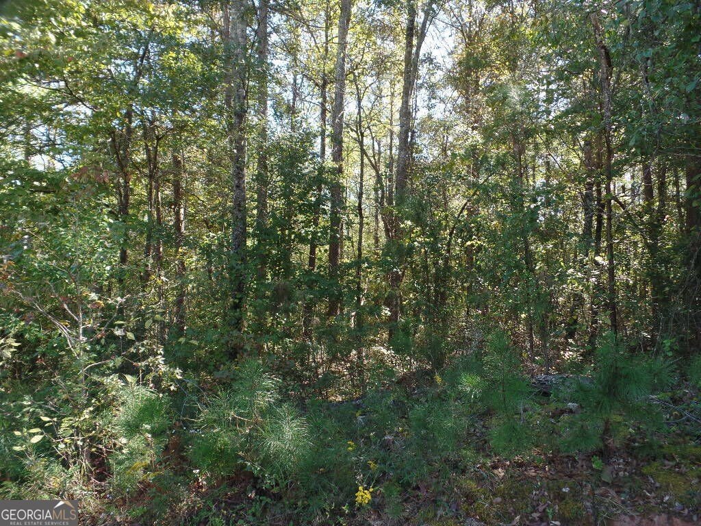 Picture 8