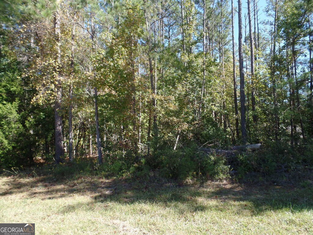 Picture 14