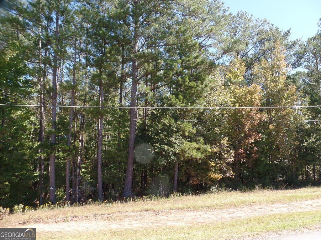 Picture 16