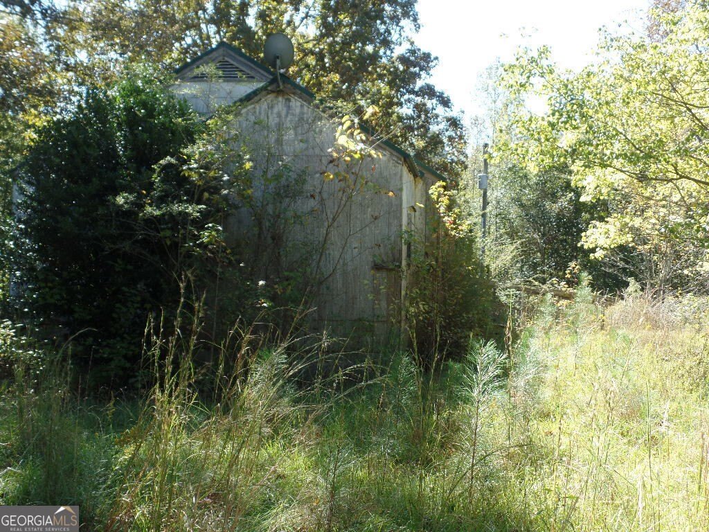 Picture 21