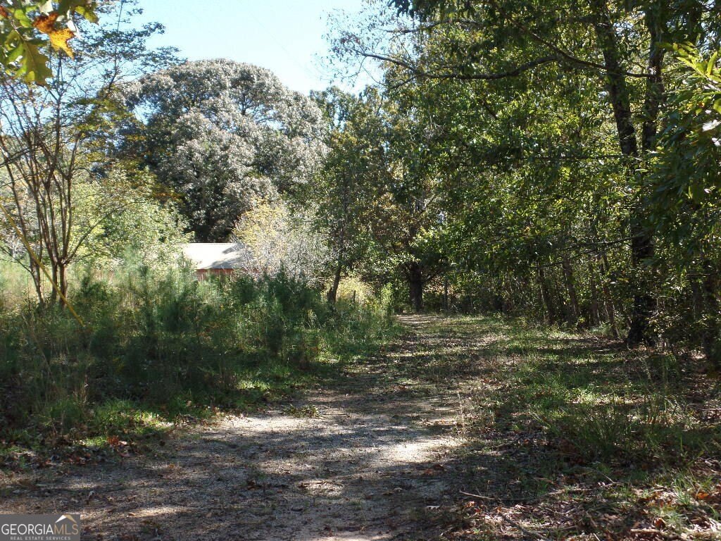 Picture 5